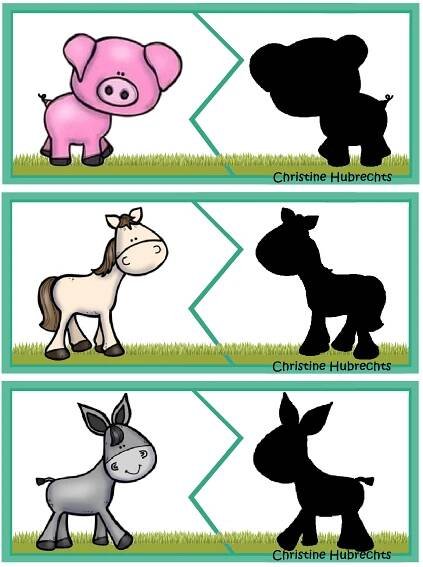 four different types of animals that are labeled in the same color and font, each with their own name