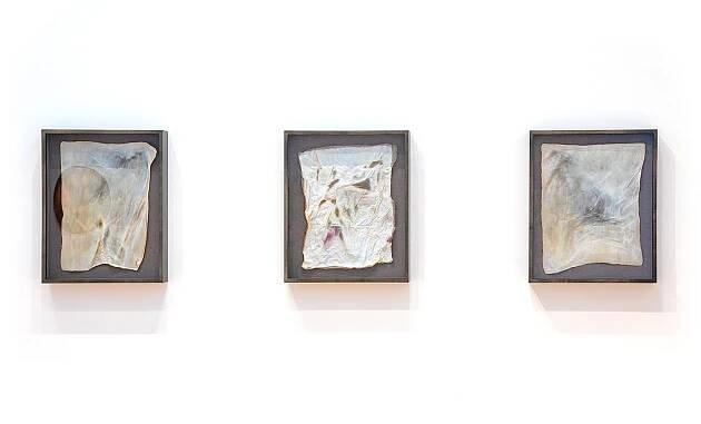   Invisible Bodies Produce Skins to Breathe 3, 5, 6.  Cellulosic skin grown by A. xylinum. 17 x 13 inches. 2011-2020. 