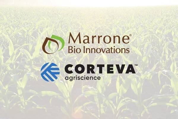Marrone Bio and Corteva Agriscience Announce New Distribution Contract