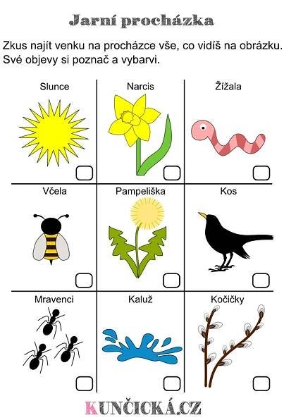 an animal and insect matching game with words in spanish for kids to learn how to read