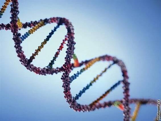 Genetik bojuje za nevinné ve vězení. Hledá nedbale odebrané vzorky DNA