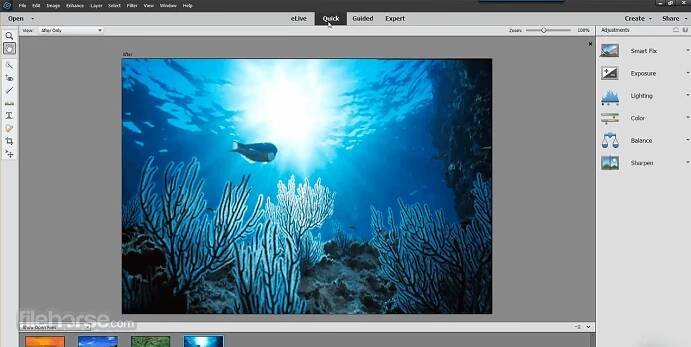 Adobe Photoshop Elements 2025 Screenshot 2