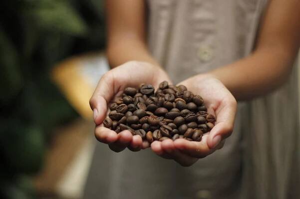 Pražírna Coffee Mondo foto 1