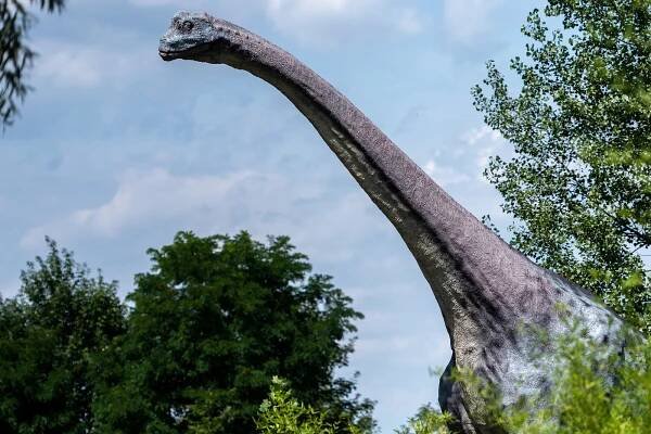 DinoPark Ostrava o víkendu otevře své brány. Zimní oblečení s sebou