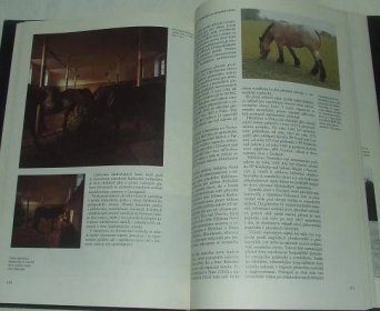 Chov koní v Československu - J. Dušek - kůň koně - Odborné knihy