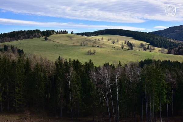 Okolím Olešnice v Orlických horách – Turisticky gurman