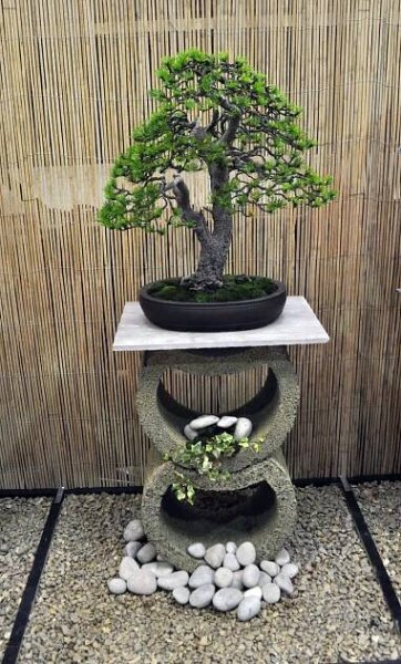 a bonsai tree sitting on top of a table next to some rocks and gravel
