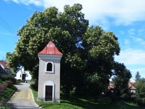 Fotogalerie • Rebešovice (Obec) • Mapy.com