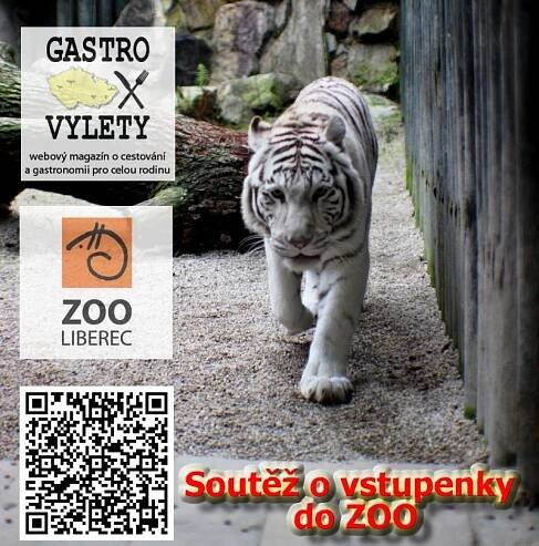 Plakátek s upoutávkou na soutěž o vstupenky do ZOO Liberec.Na plakátku logo ZOO Liberec, magazínu gastrovýlety, qr kód a fotka bílého tygra