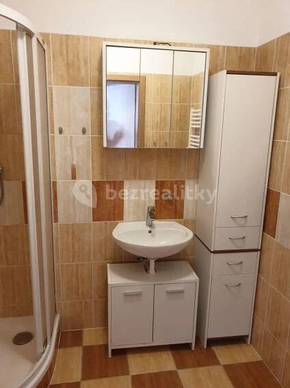 Pronájem bytu 4+kk 120 m², Krnovská, Opava, Moravskoslezský kraj