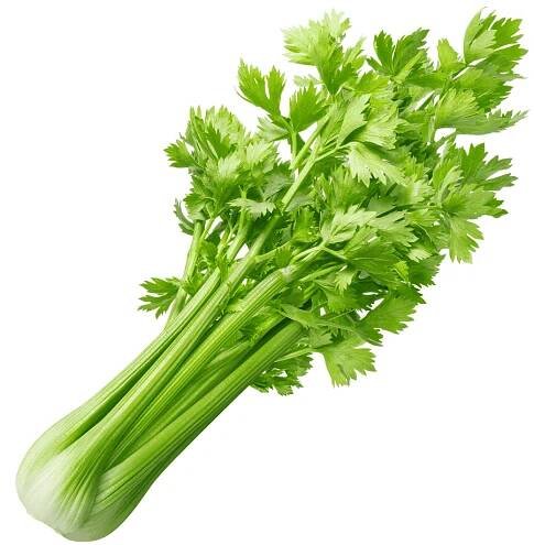 celerová nať - Nutriční Hodnoty, Kalorie, kJ a kcal