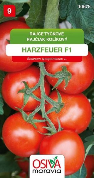 Rajče tyčkové - Harzfeuer F1