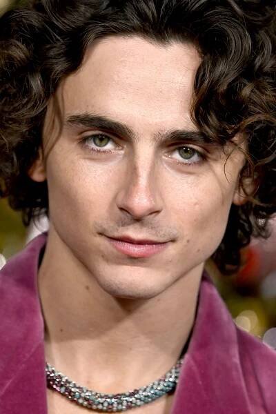 Timothée Chalamet Can Claim to Be Six Feet Tall, Thanks to These Voluminous Curls — See Photos