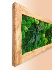 Obraz z masivu 136x56cm (rám kartáčované dubové dřevo, technika drátkování) – Mix mechů, rostlin a dřevin