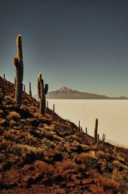 A surreal adventure crossing the Andes between Chile and Bolivia