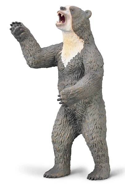 Giant Short-faced Bear