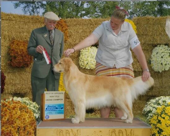 GCH Martini