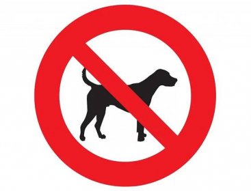 Zákaz vstupu se psem 20cm - Pozor Značky