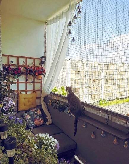 a cat is sitting on the window sill and looking out at the garden outside