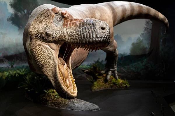 Unikátní muzeum v Praze nabídne největší sbírku dinosaurů na světě