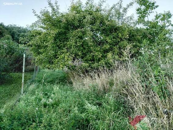 Prodej Pozemek, Velkostudecká, Loučeň - Studce, okres Nymburk