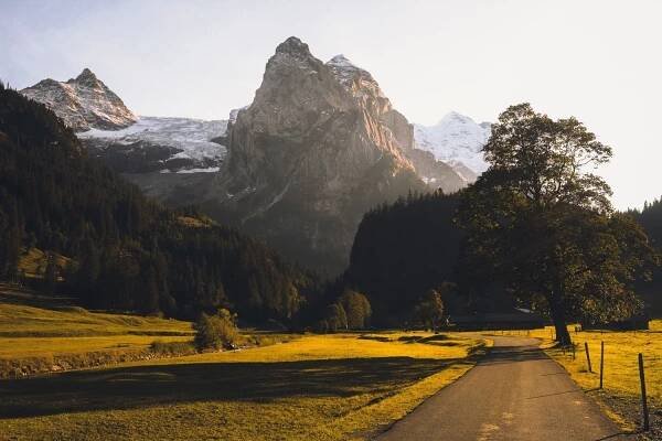  Best Things to do in Grindelwald