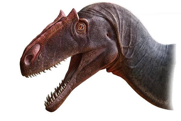 Remarkable New Species of Meat-Eating Jurassic Dinosaur Discovered in Utah