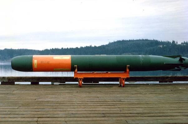 A Mark 48 torpedo sitting on a cart in front of water