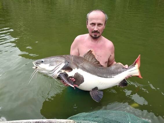 Tři kamarádi spolu jezdí rybařit už léta. Tentokrát se vydali do Thajska