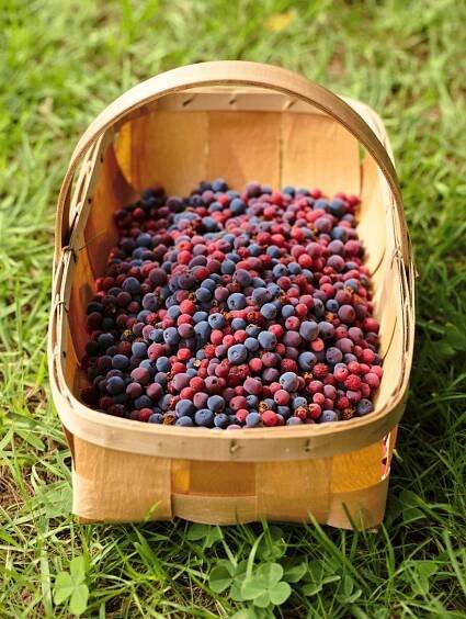 3-Ingredient Saskatoon Jam (No Pectin!) – The Easiest Way to Save Summer’s Flavor