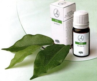 Tea tree oil pro akné: jak používat proti podkožnímu zánětu? Jemnosti aplikace esenciálního oleje pro obličej, recenze