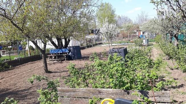 Prodej zahrádky, 353 m2 v Hrušovanech u Brna - Reality Rajhrad