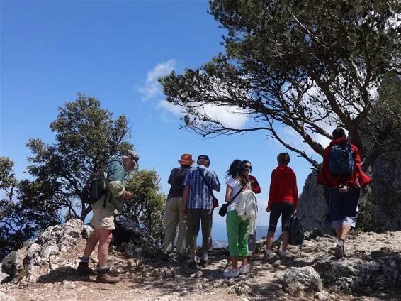Zájezd Mallorca s turistikou - nedotčená příroda a tradiční architektura | Mallorca - Španělsko Travel 2002, spol. s r