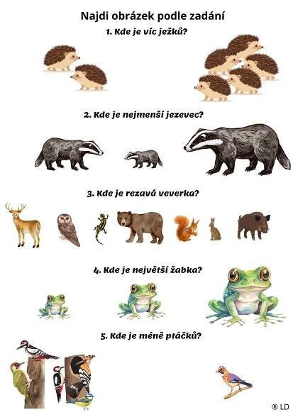žáby, ježci, ptáci, vevrka, medvěd, jezevec, divočák, jelen, mlok, sova, zajíc