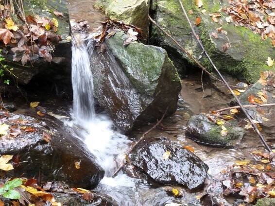 Fotografie - Šternovské kaskády - Šternov - Divišov - 09.11.2014