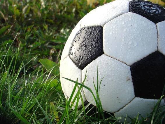 Čeští sportovci pomáhají v boji proti zákeřnému koronaviru