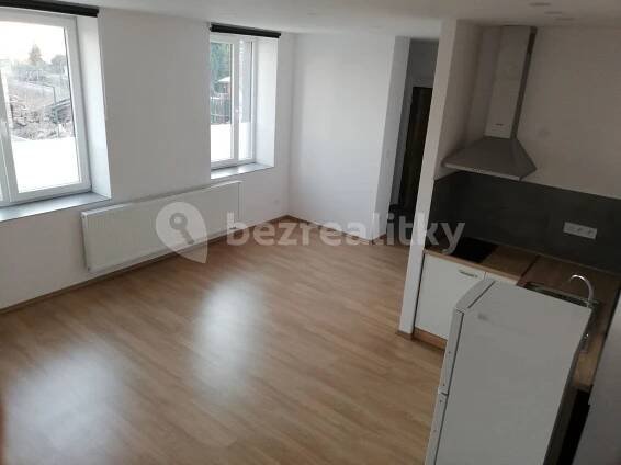 Pronájem bytu 1+kk 32 m², Nerudova, Hradec Králové, Královéhradecký kraj