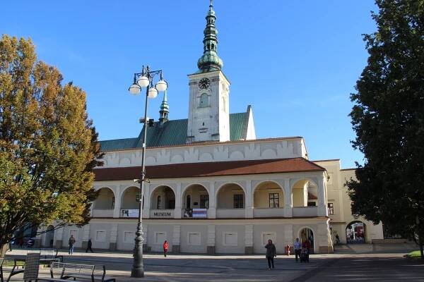 SONS ČR - Prostějov, Muzeum a galerie 