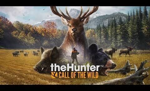 Jak stáhnout a nainstalovat the Hunter: Call of the Wild