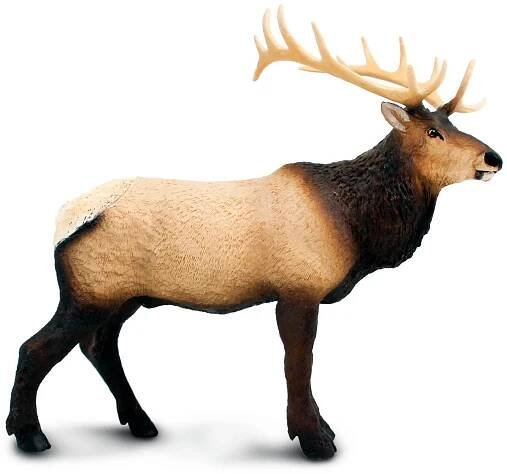 Safari Ltd. Figurka - Wapiti