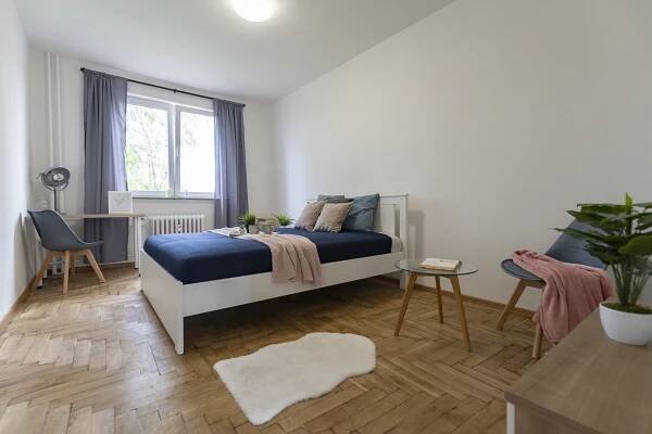 spolubydlení pronájem bytu Pardubice Sakařova