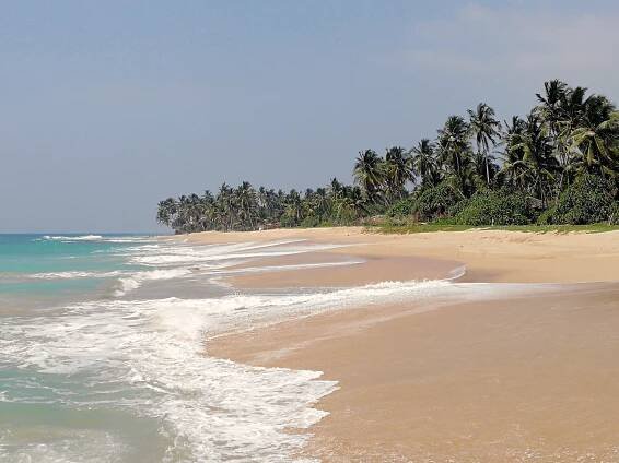3 Wochen Backpacking in Sri Lanka | Moin hier ist Fabi