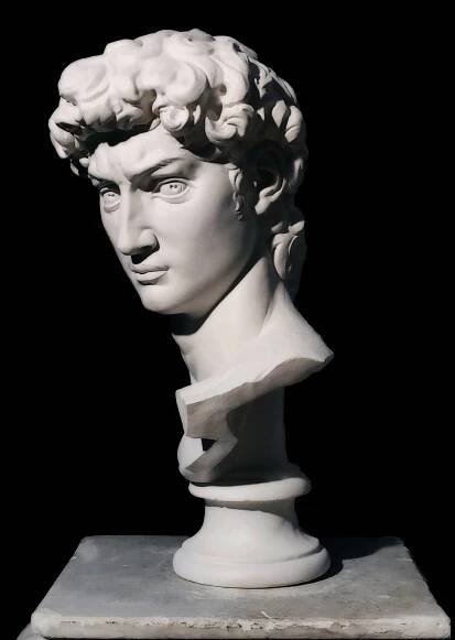 Bust of David by Michelangelo - Image 2