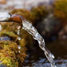 Wasser: Mehr über unser Lebenselixier