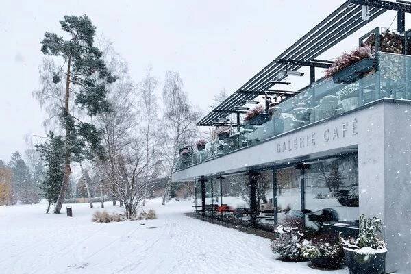 GALERIE CAFÉ - PARK RESTAURANT