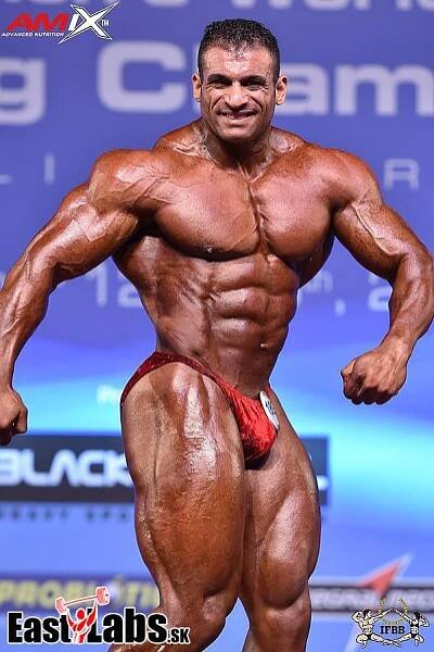 Mohamed Zakaria