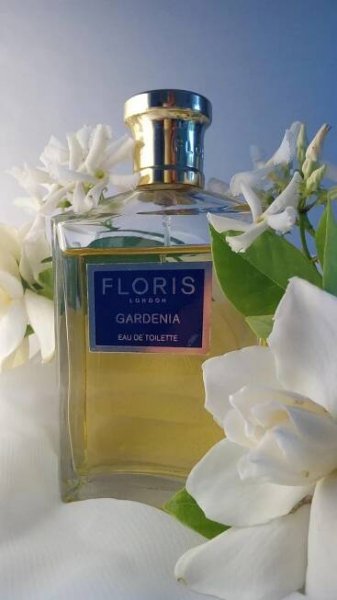 Gardenia Floris pro ženy