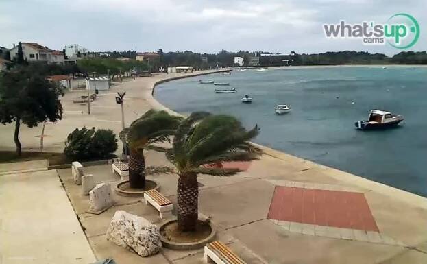 Traffic stops because of strong wind in Croatia - news - LiveCamCroatia, Explore Croatia