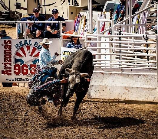 Short Ride | Terry and Terry Photography