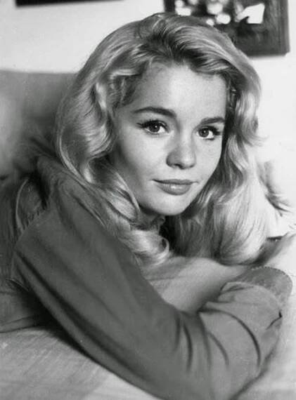 Tuesday Weld – Nose, Face, Lip, Chin, Eyebrow, Photograph…